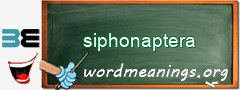 WordMeaning blackboard for siphonaptera